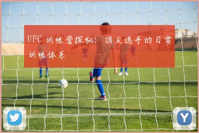 UFC 训练营探秘：顶尖选手的日常训练体系