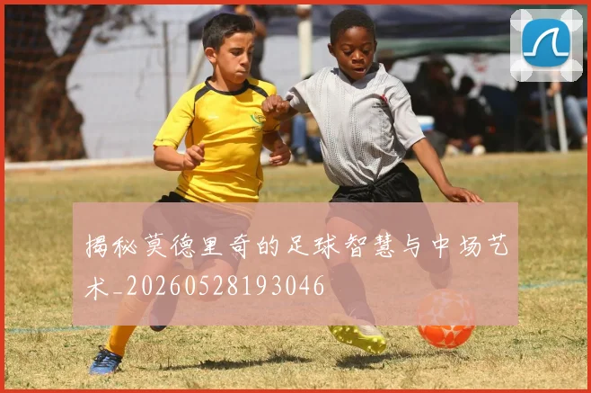 揭秘莫德里奇的足球智慧与中场艺术_20260528193046