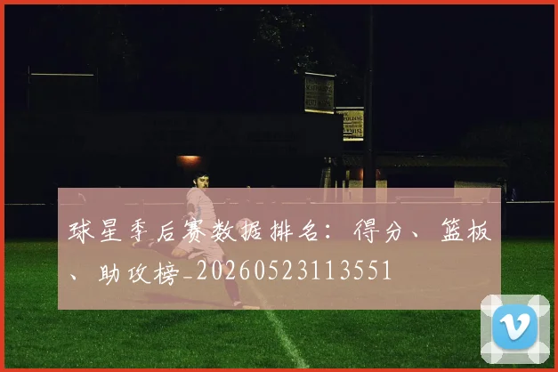 球星季后赛数据排名：得分、篮板、助攻榜_20260523113551