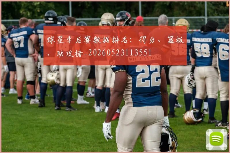 球星季后赛数据排名：得分、篮板、助攻榜_20260523113551